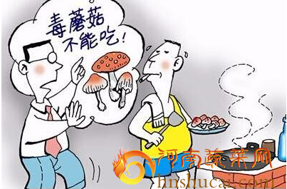 蘑菇