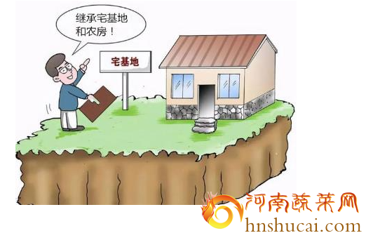 <strong>2023一宅一基地政策来拉！</strong>