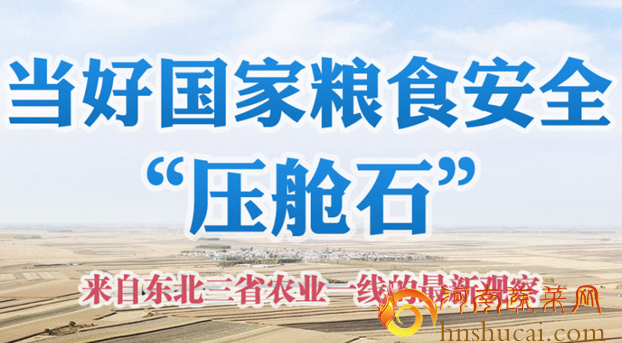 国家粮食安全“压舱石”东北三省农业一线的最新观察